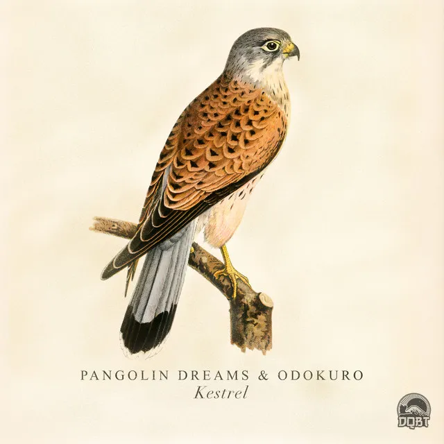 Kestrel