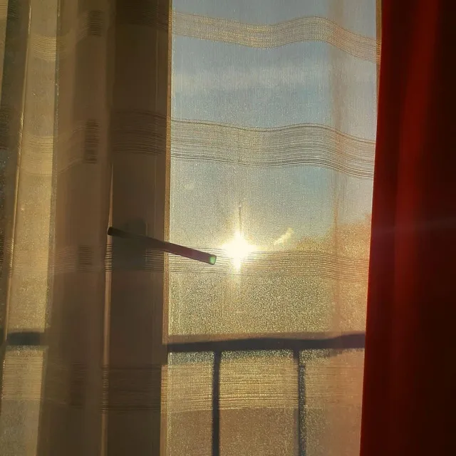 Sunny Window