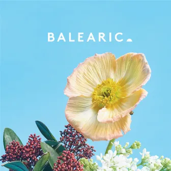 Balearic 4 by Balearic