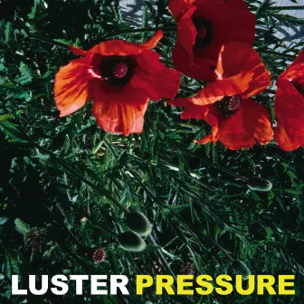 Pressure by Luster