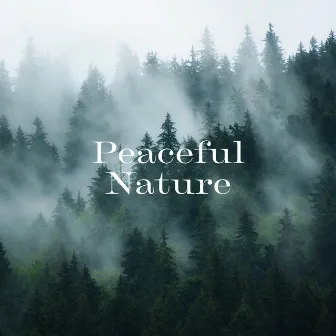 Peaceful Nature: Drift-Off to Sleep with Soothing Birds Chirping by Deep Sleep Maestro Sounds