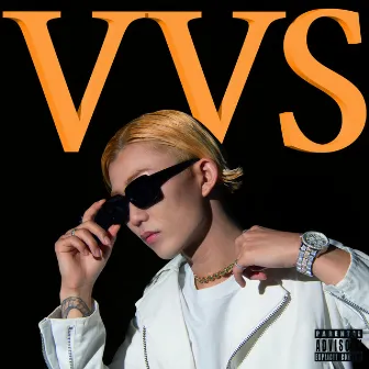 VVS by 5apby