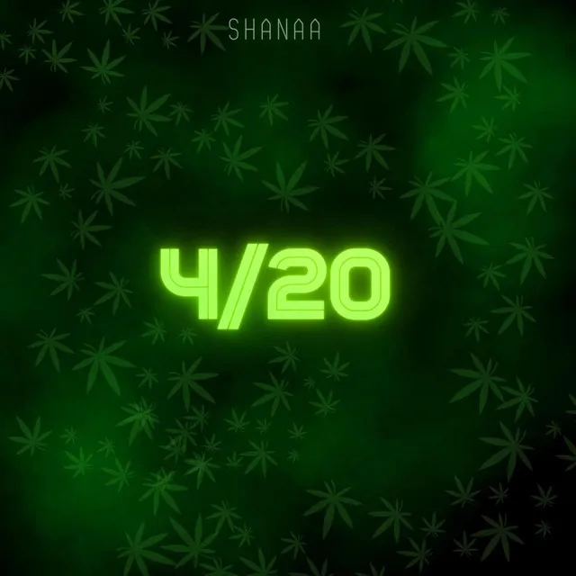 4 / 20