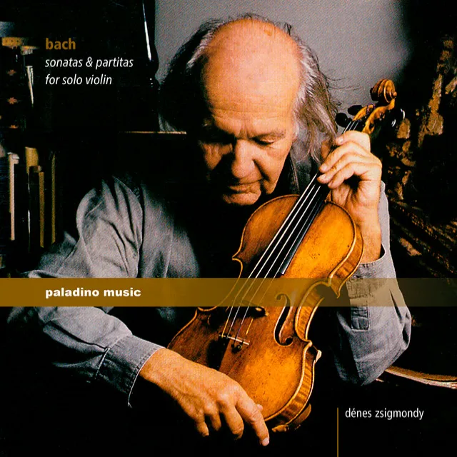 Violin Partita No. 1 in B Minor, BWV 1002: IV. Double. Presto