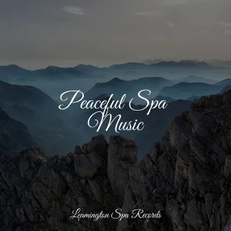 Peaceful Spa Music by Loopable Rain