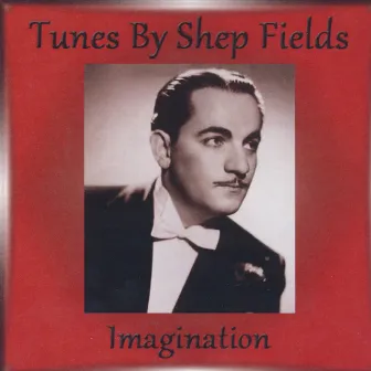 Imagination by Shep Fields