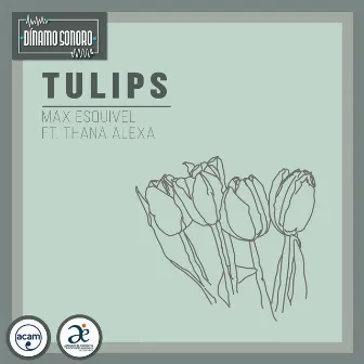 Tulips by Max Esquivel