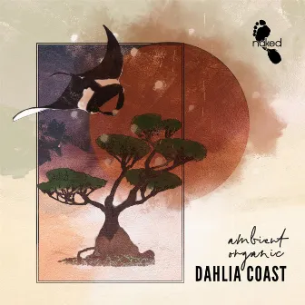 Dahlia Coast - Ambient Organic by Chase Baker