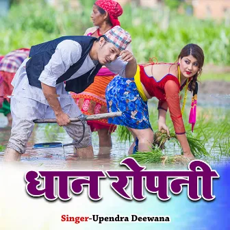 Dhan Ropani by Upendra Deewana