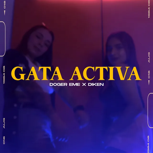 Gata Activa