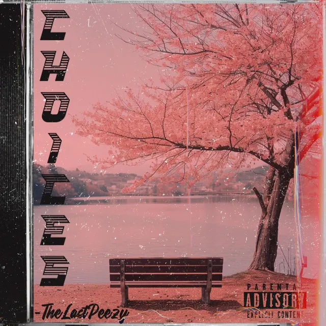 Choices (FreeStyle)