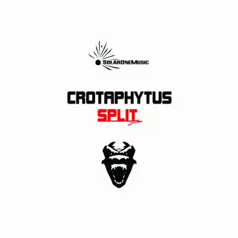 Split by Crotaphytus