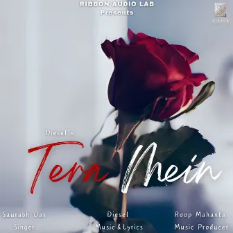 Tera Mein by Saurabh Das