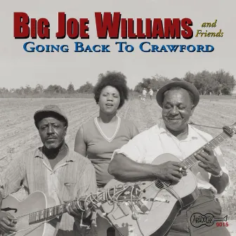 Going Back to Crawford by Big Joe Williams