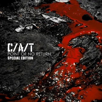 Point of No Return (Special Edition) by C/A/T