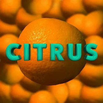 Citrus by Imean