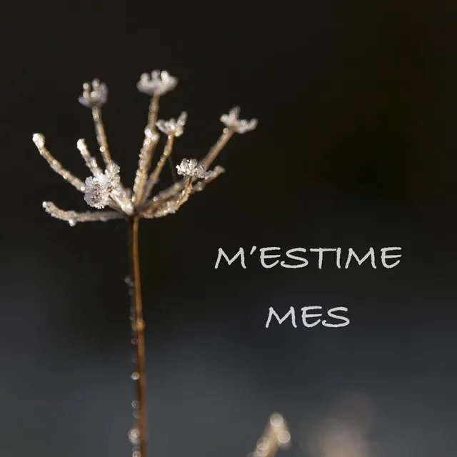 M'estime més