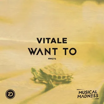 Want To by Vitale