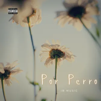 Por Perro by IB Music