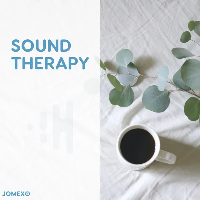 Sound Therapy