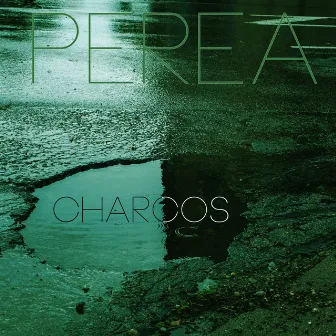 Charcos by Perea