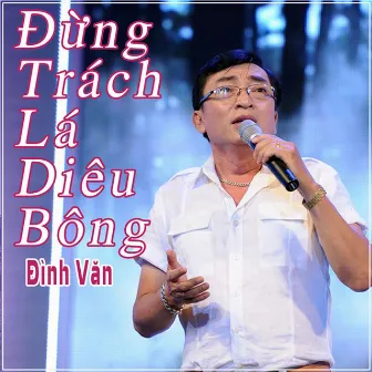 Đừng Trách Lá Diêu Bông by Đình Văn