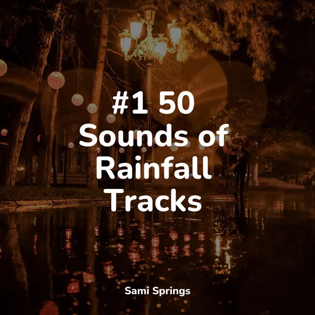 #1 50 Sounds of Rainfall Tracks