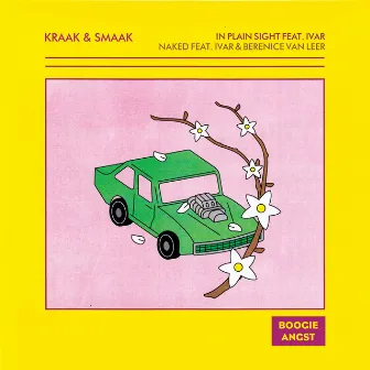 In Plain Sight / Naked by Kraak & Smaak