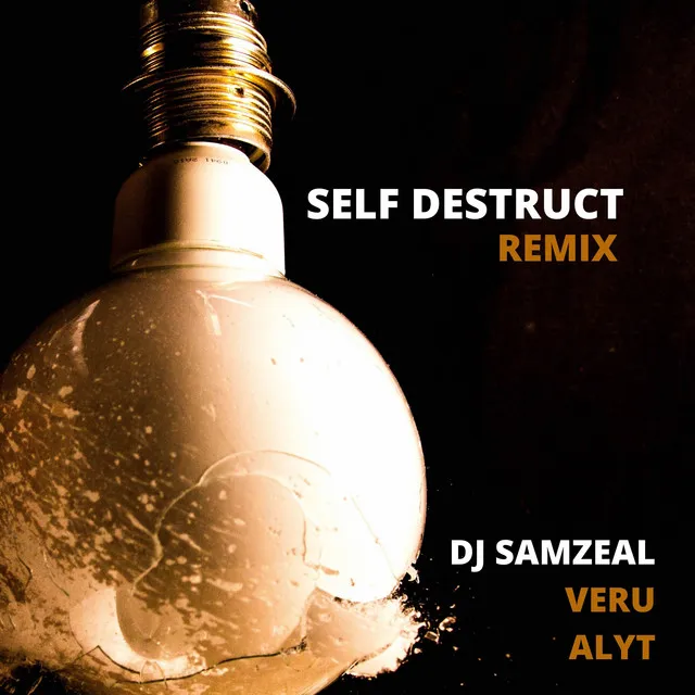 Self Destruct - Remix