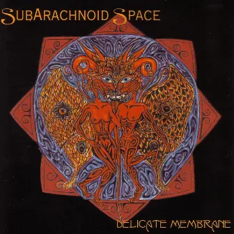 Delicate Membrane by SubArachnoid Space