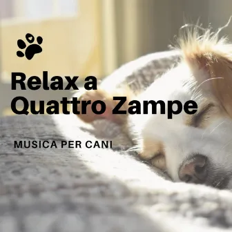 Relax a Quattro Zampe - Musica per Cani by Música Ambiente