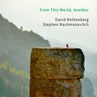 From This World, Another by Stephen Nachmanovitch