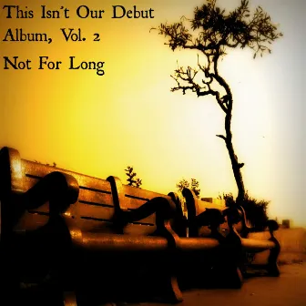 This Isn't Our Debut Album, Vol. 2 by Not For Long