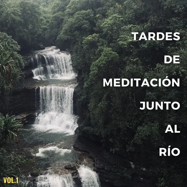 Ambiente De La Tarde Del Río De Verano