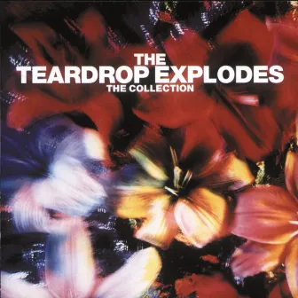 The Collection by The Teardrop Explodes