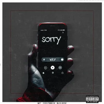 Sorry by Alex Rose