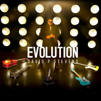 Evolution by David P Stevens