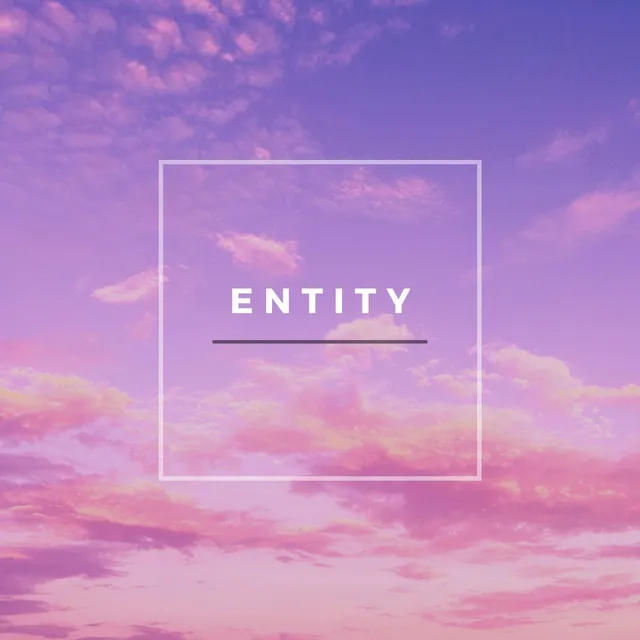 Entity