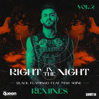 Right in the Night, Vol. 2 (The Remixes) by Black Flamingo