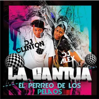 La Cantua by DJ Alex