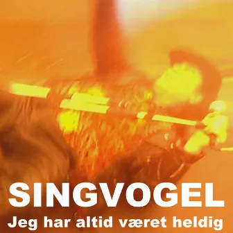 Jeg har altid været heldig by Singvogel