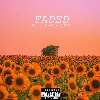 Faded by Brett Reef