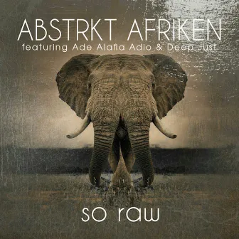 So Raw (Remixes) [feat. Ade Alafia and Deep Just] by ABSTRKT AFRIKEN