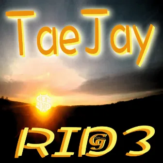 R1D3 by Tae Jay