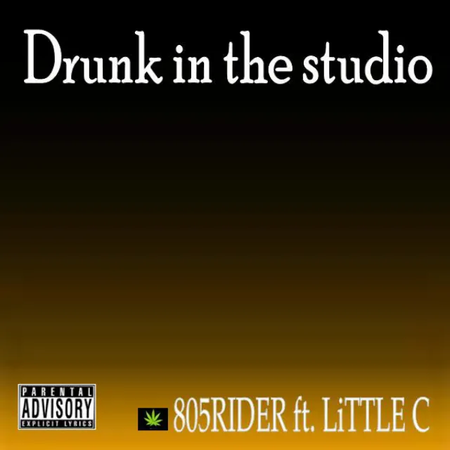 Drunk in the studio