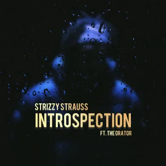 Introspection by Strizzy Strauss