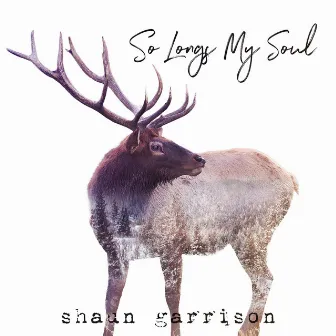 So Longs My Soul (Psalm 42) by Shaun Garrison