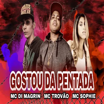 Gostou Da Pentada by Mc Sophie