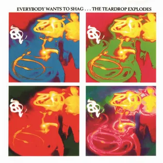 Everybody Wants To Shag... The Teardrop Explodes by The Teardrop Explodes