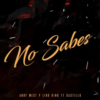 NO SABES by Andy West